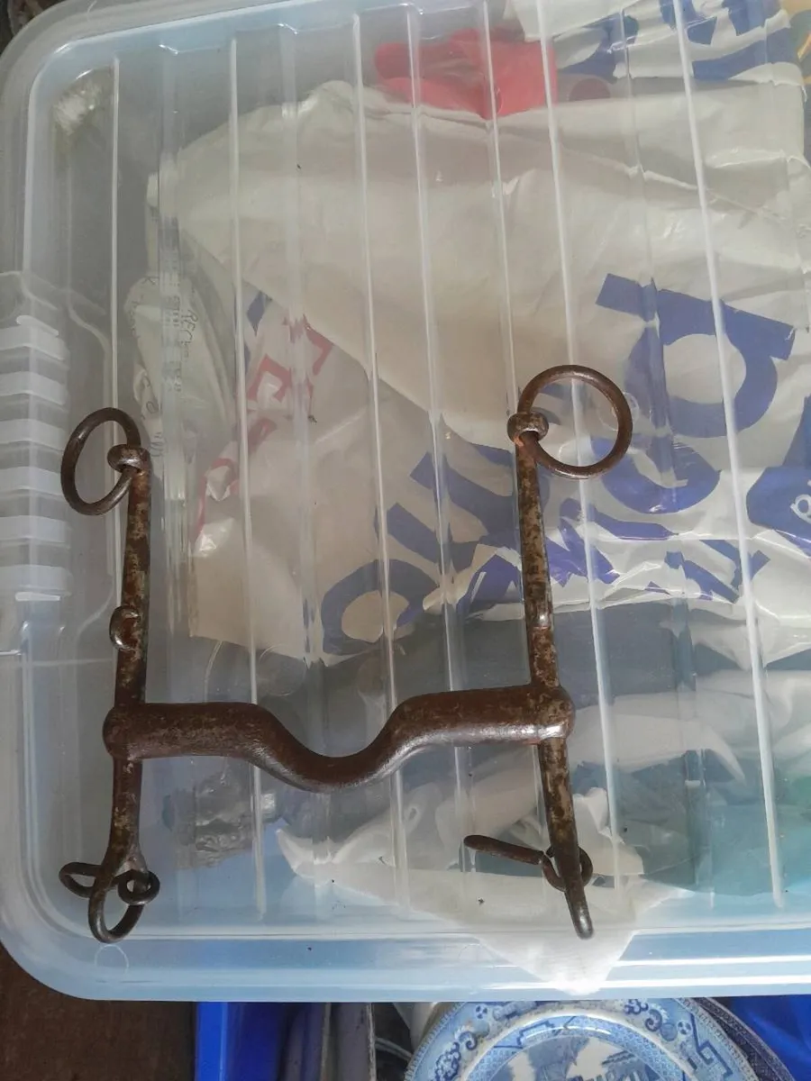 Old horse bits - Image 4