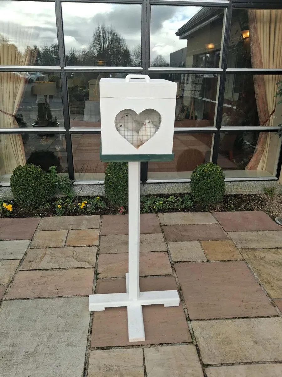 White doves for hire