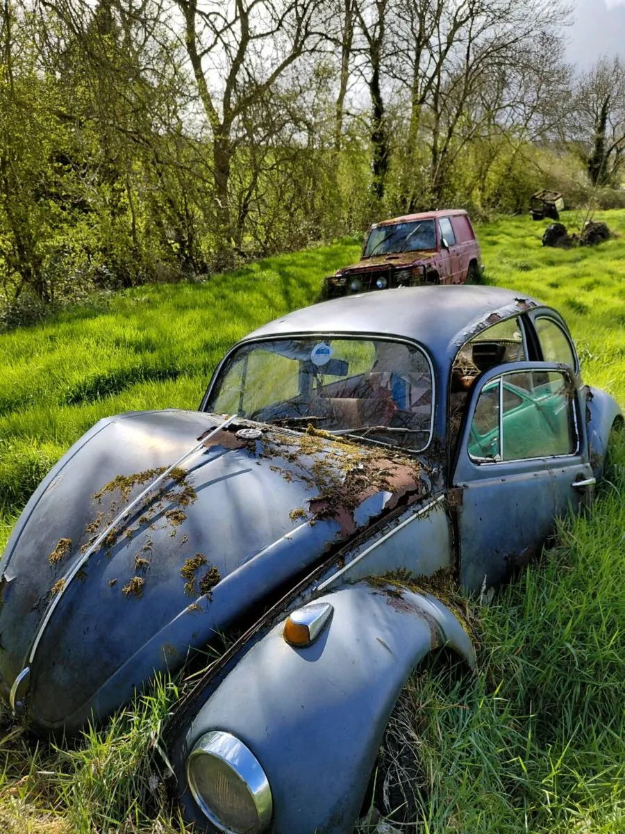 Old vw beatles - Image 1
