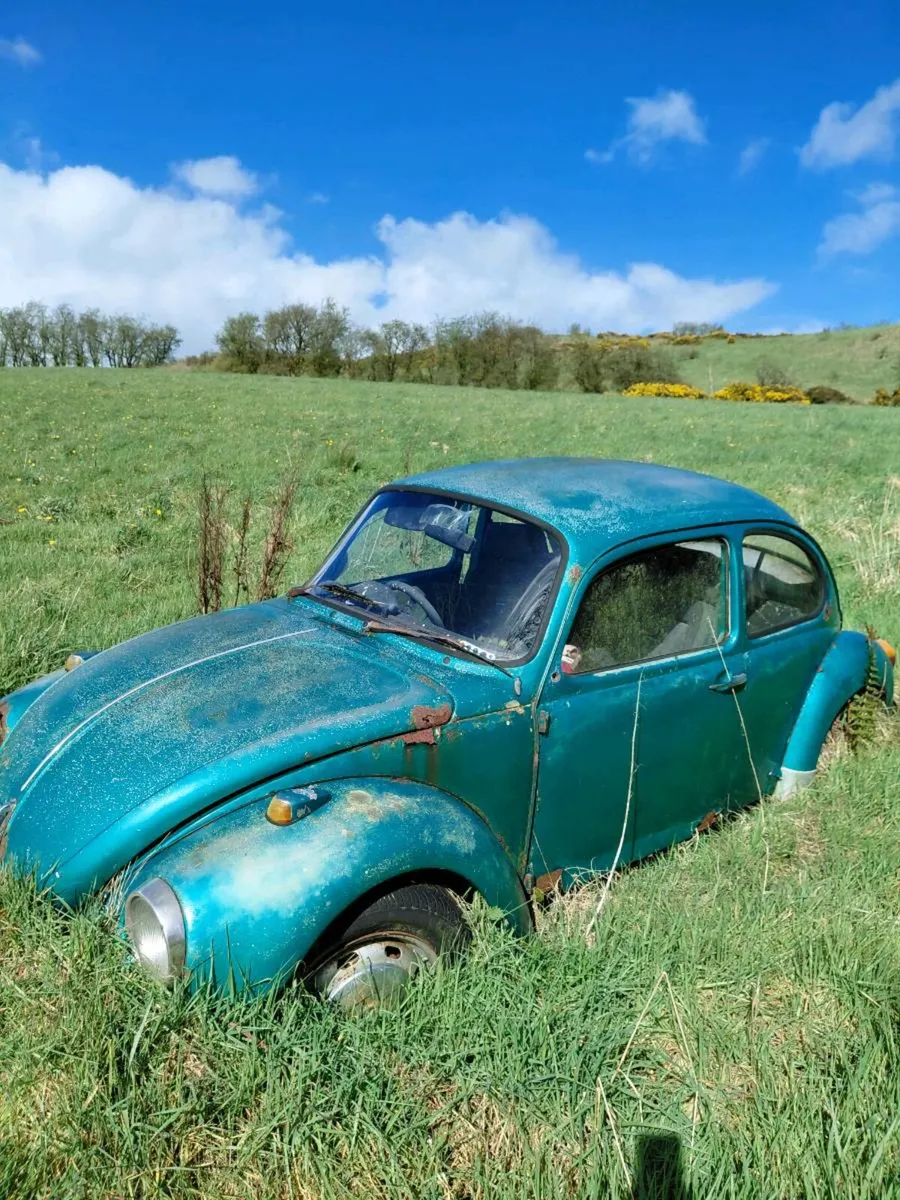 Old vw beatles - Image 2