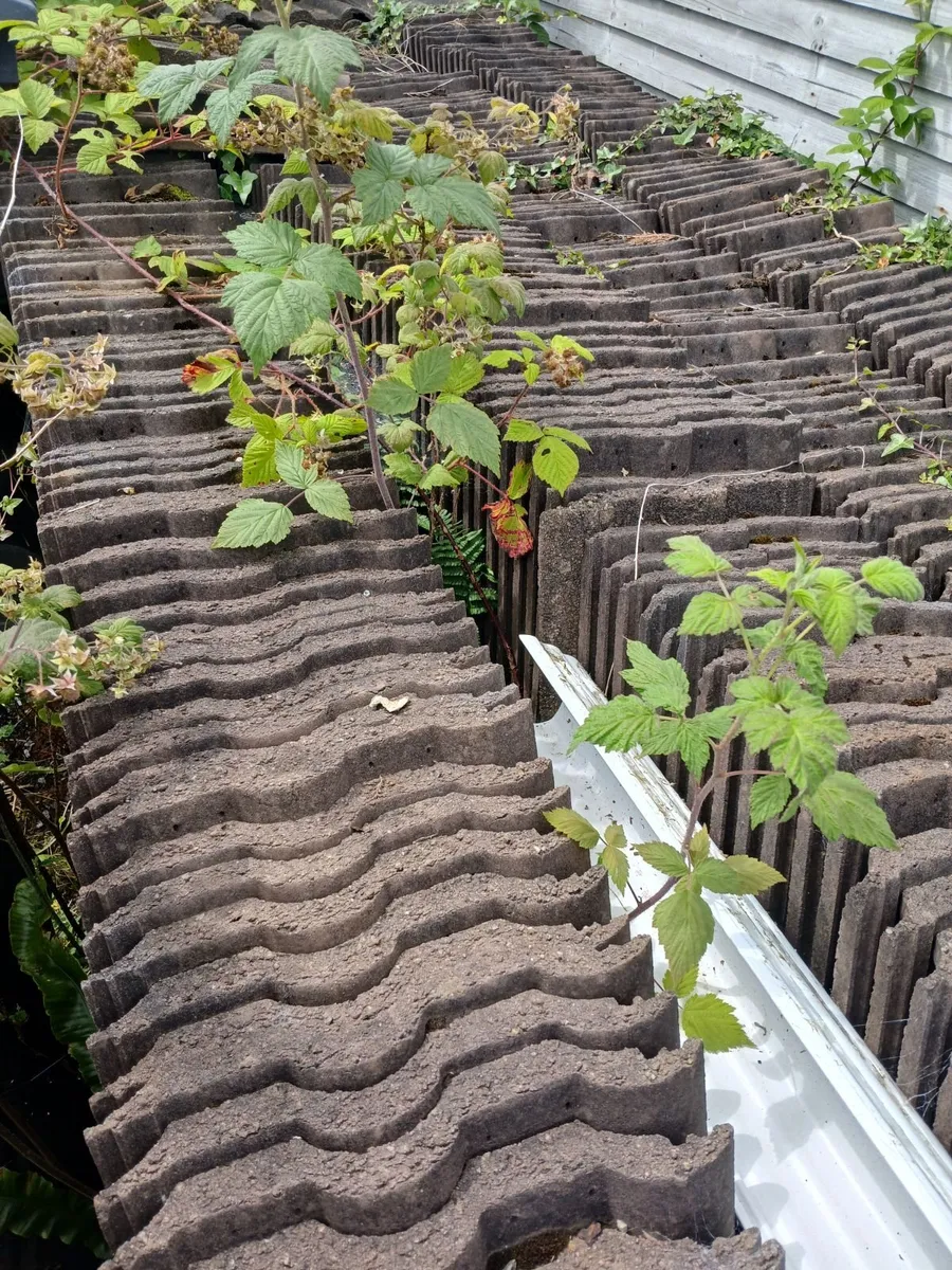 Roof tiles - Image 2