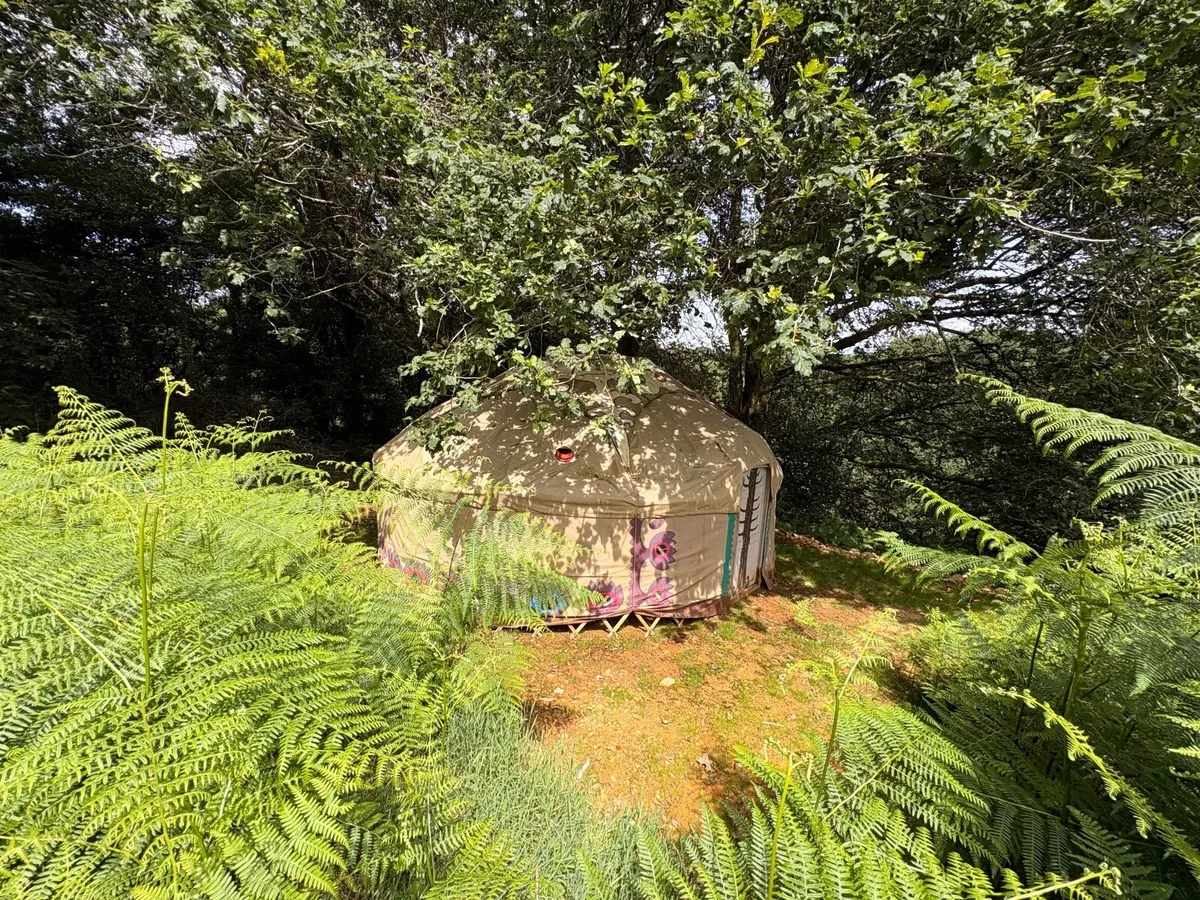 Yurt for sale - Image 4