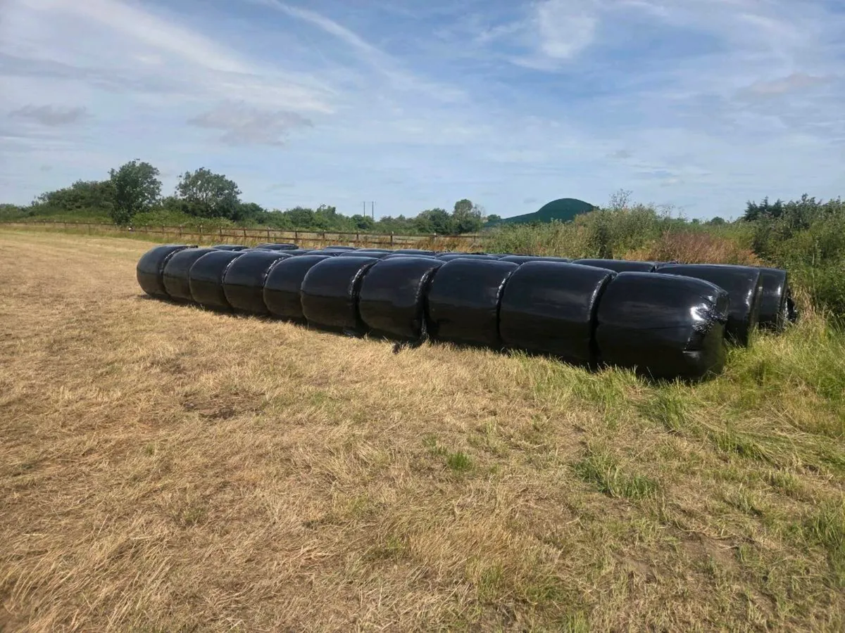 Organic silage - Image 1