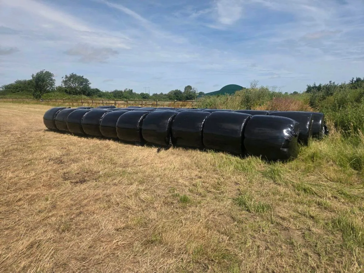 Organic silage - Image 2