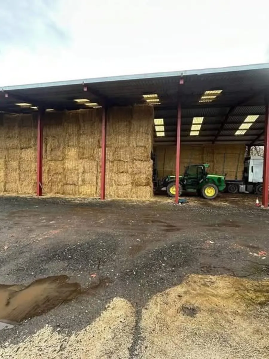 Now Taking orders for 2026 Irish Barley straw - Image 1
