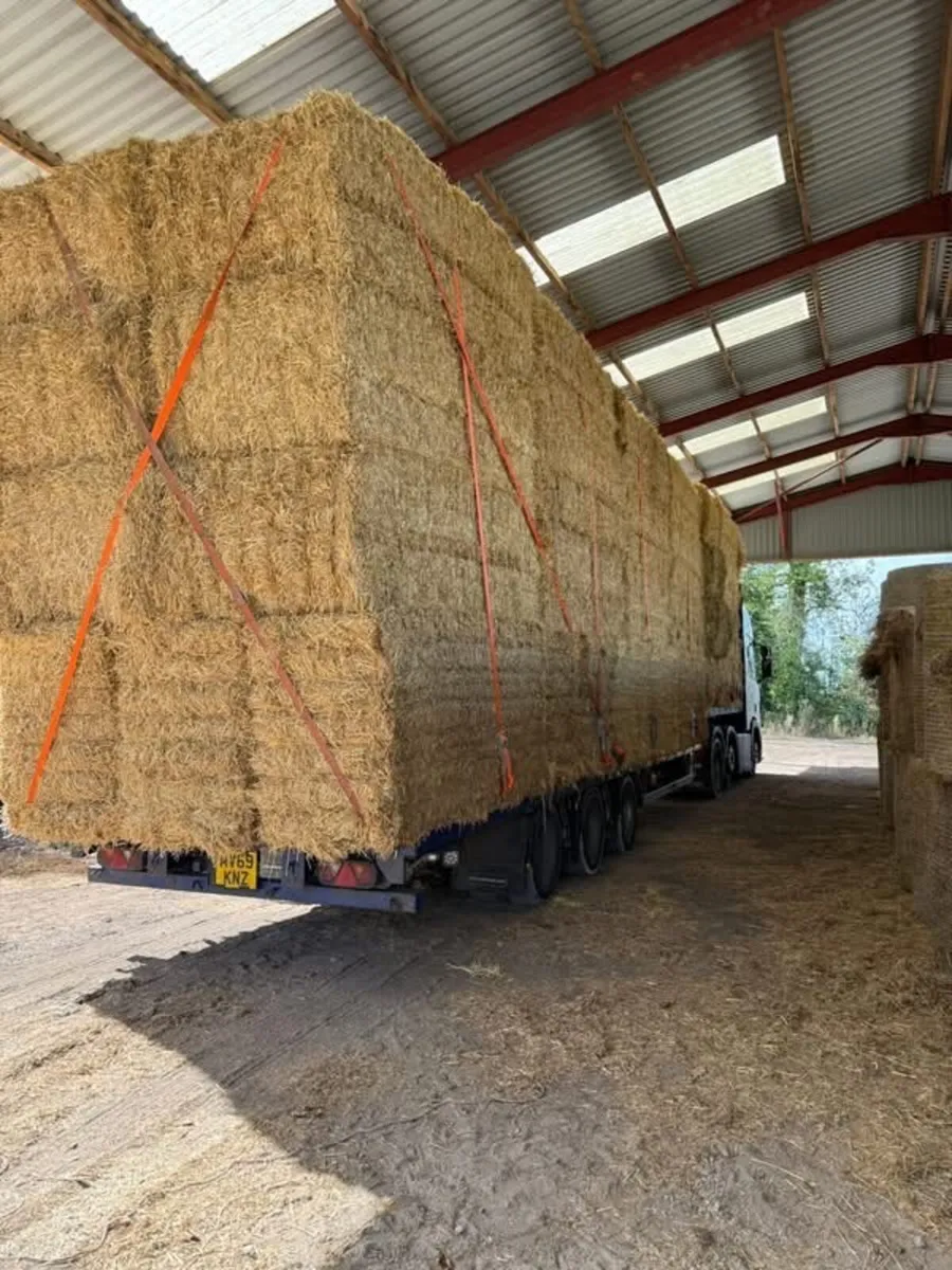 John Fearon Hay&straw looking orders for straw - Image 2