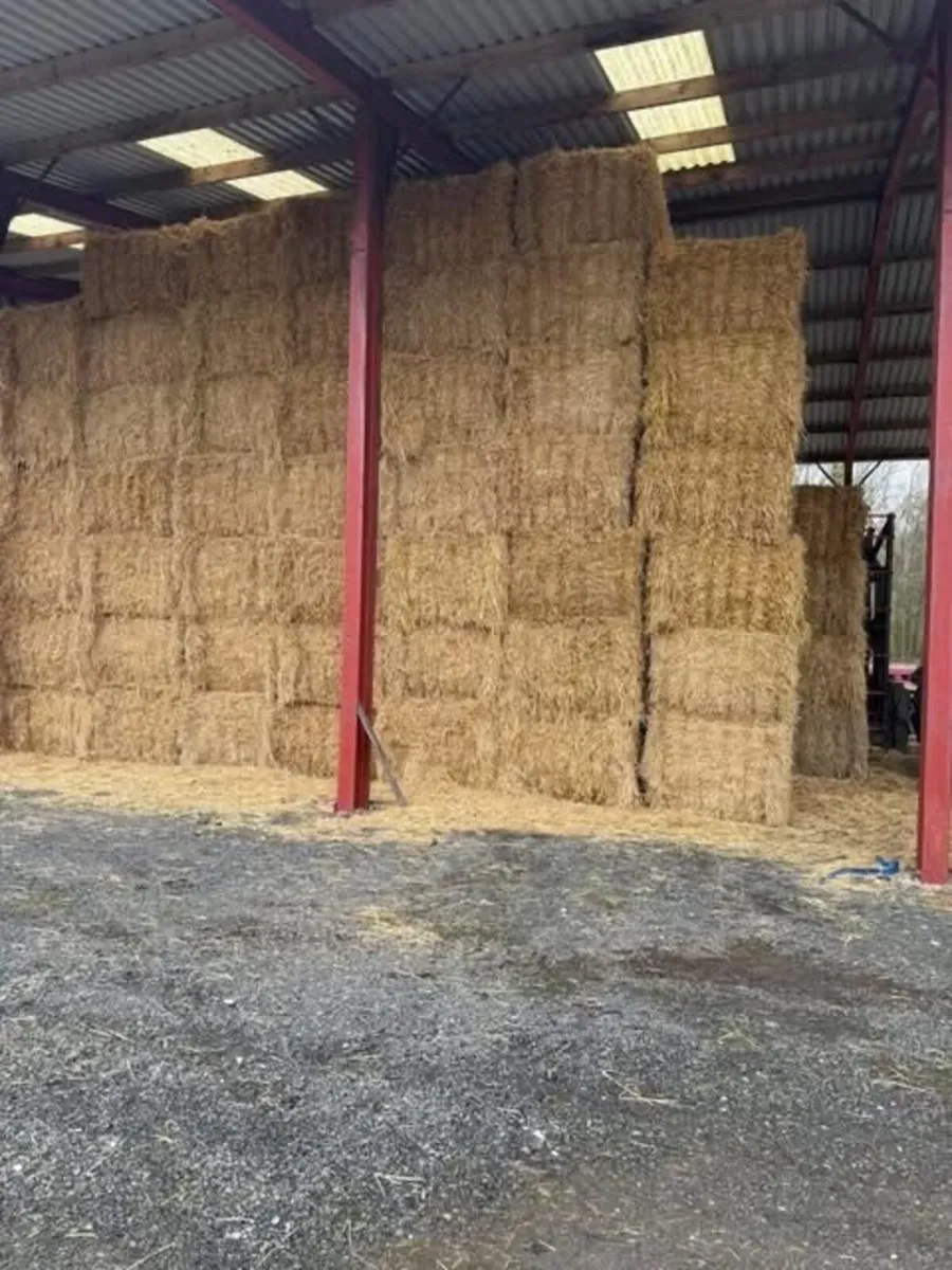 John Fearon Hay&straw looking orders for straw - Image 3