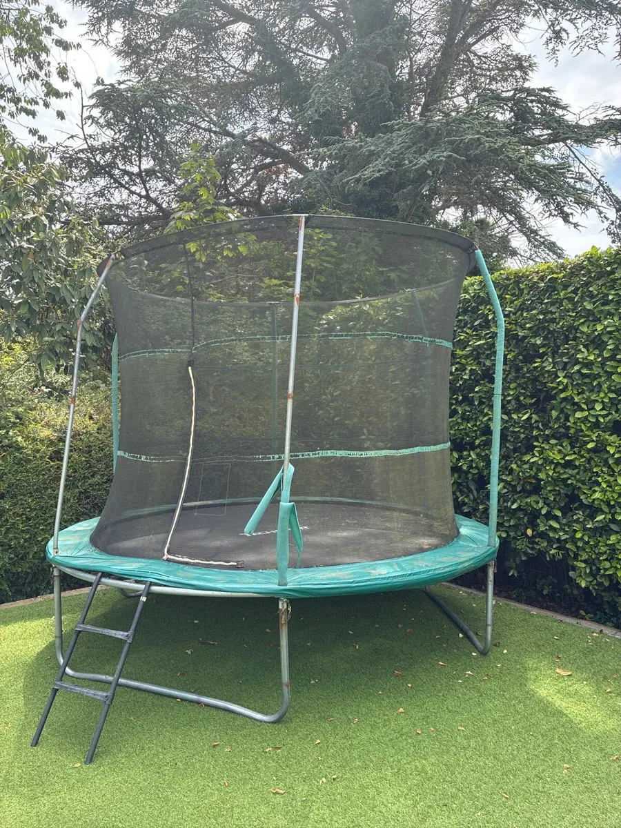 Trampoline for free. Just dismantle and take away