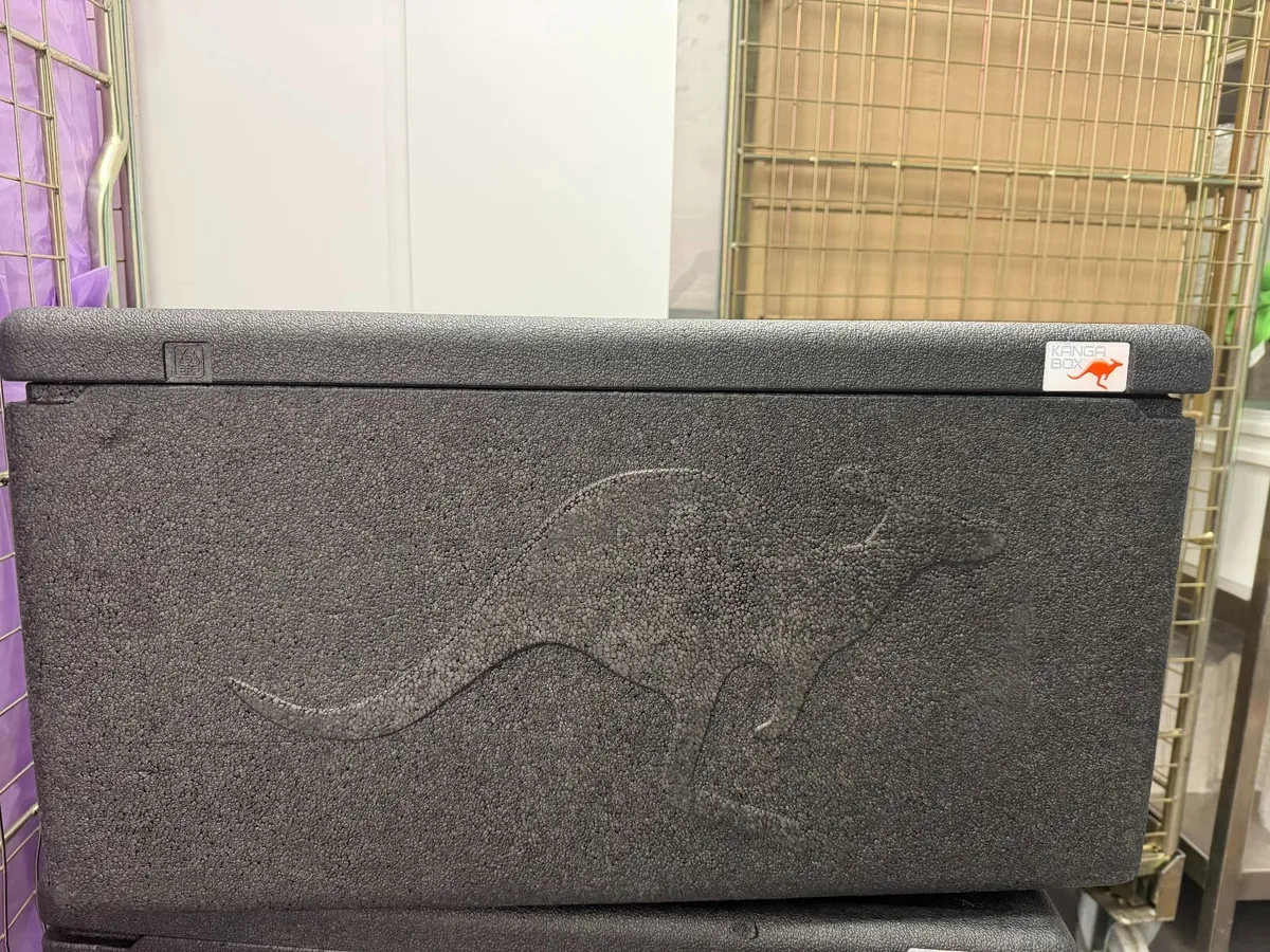 Professional thermal box for GN1/1 standard handle