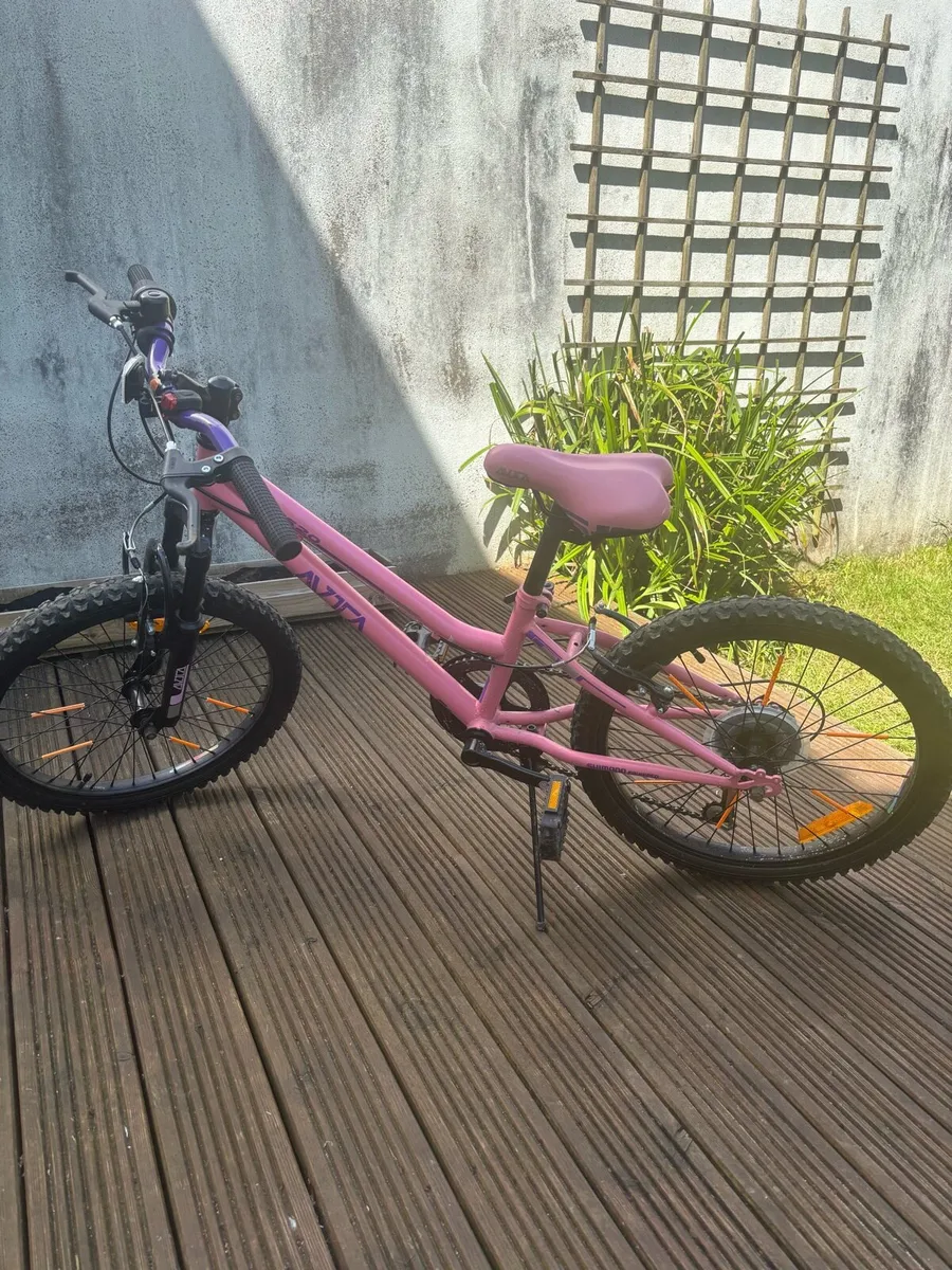 Bike 20 inch girl - Image 3