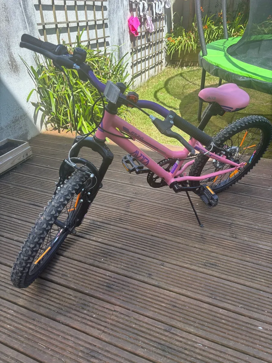 Bike 20 inch girl - Image 1