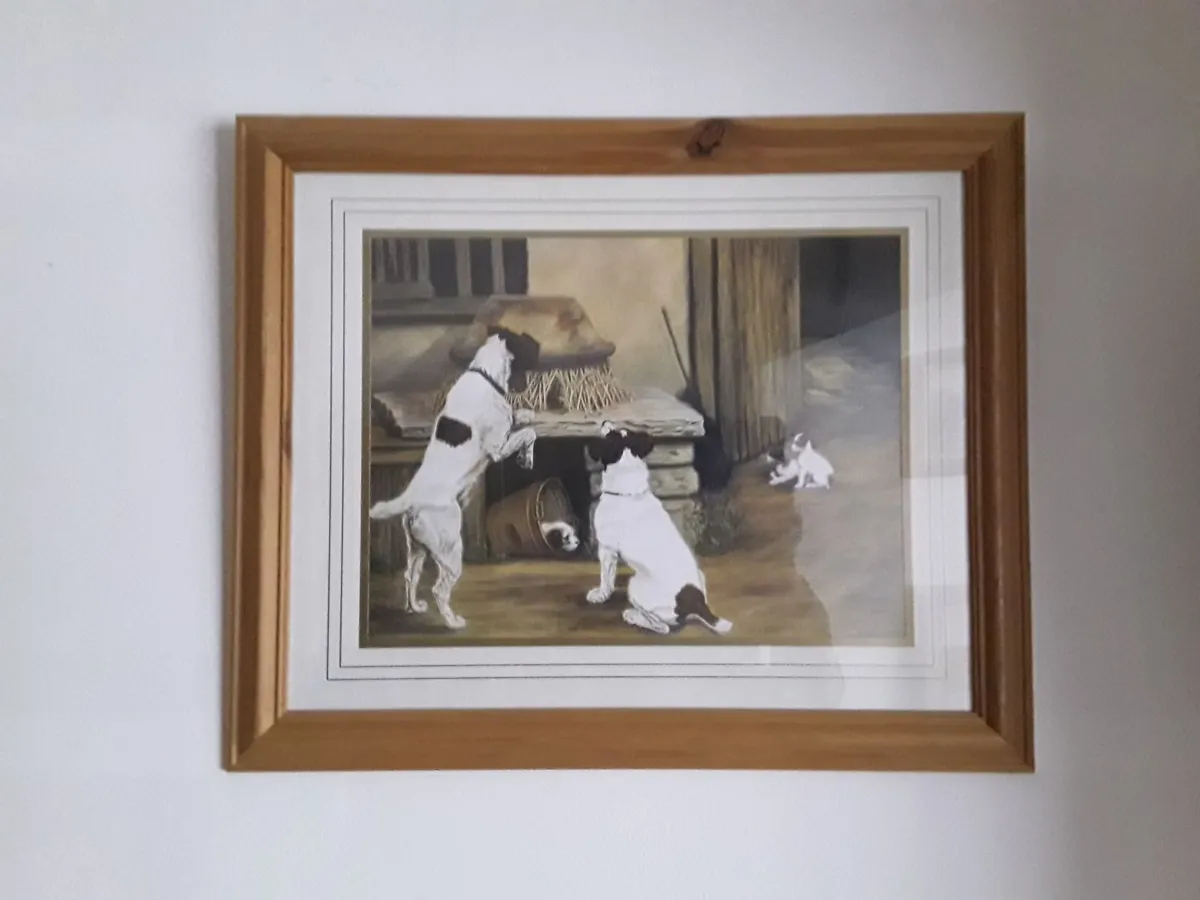 Lovely picture of dogs in glass frame - Image 4
