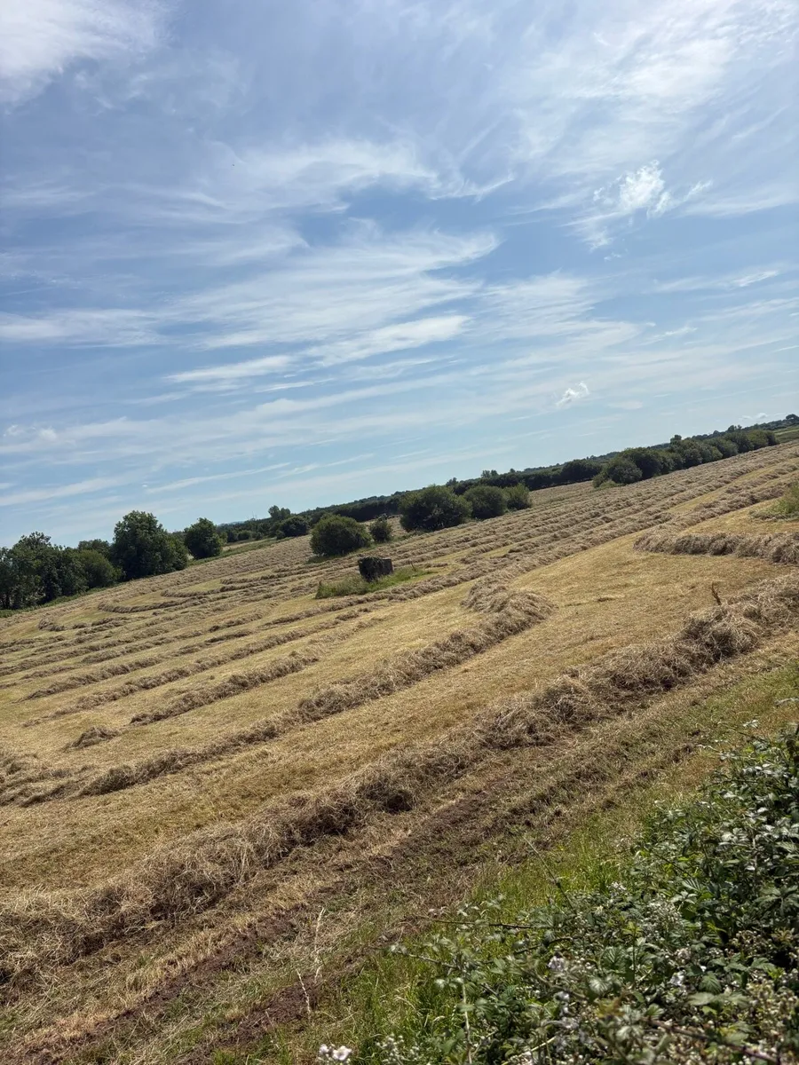 Hay & Silage - Image 4