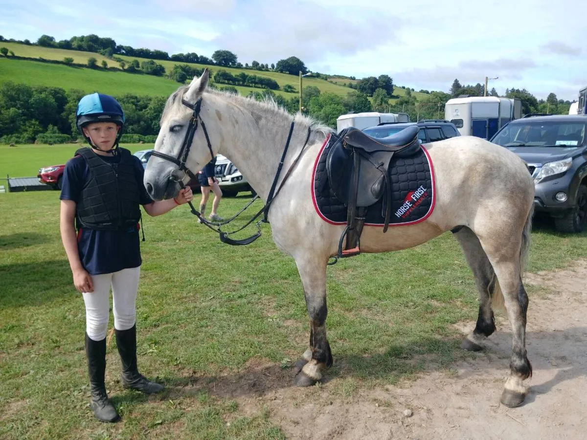 Jumping Pony - Image 2