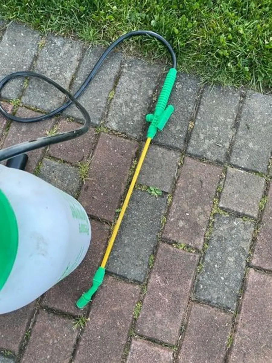 Protool 5 litre sprayer - Image 2