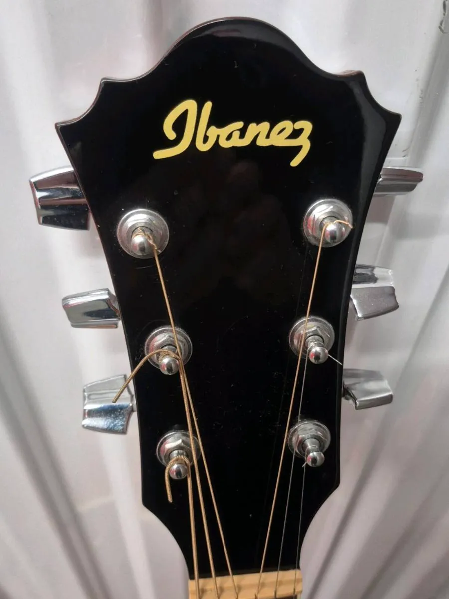 Ibanez SGT120E Acoustic Guitar - Image 1