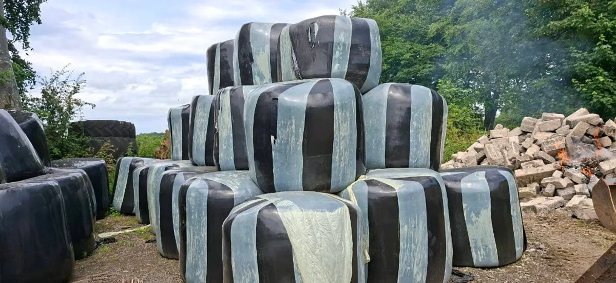 2025 2nd cut silage