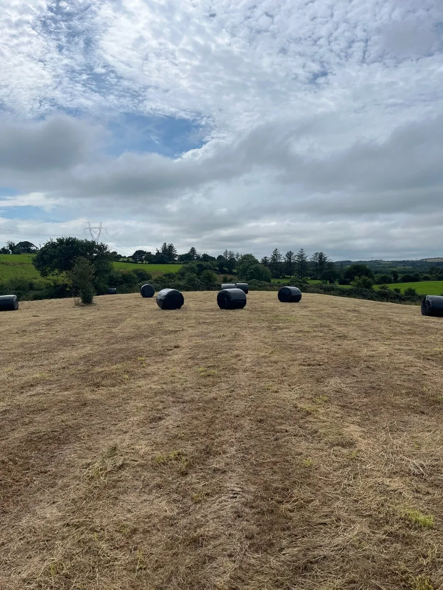 Haylage for sale