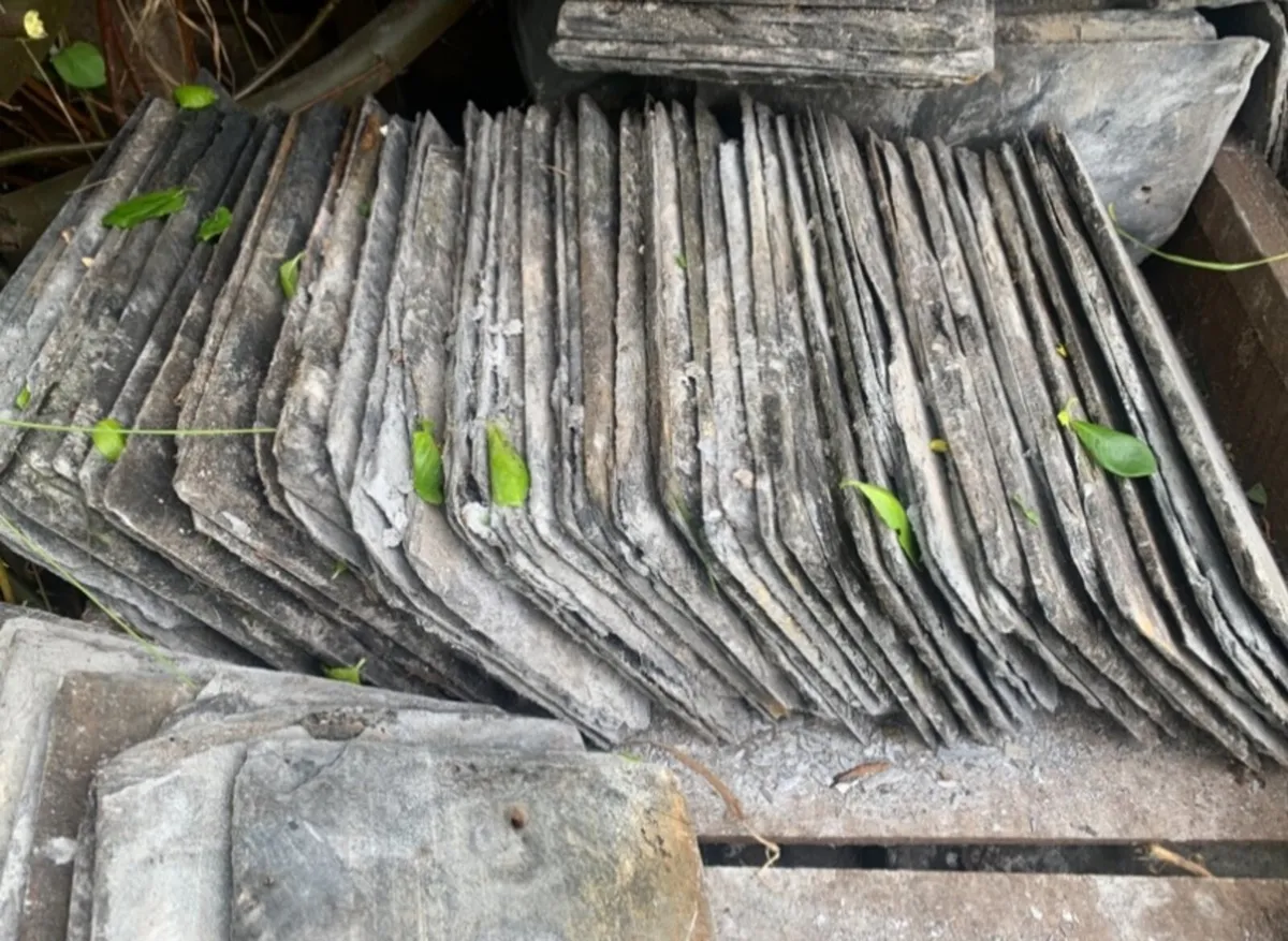 3000 x 10" x 7" Natural Roof Slates - FULL LOT ONL - Image 1
