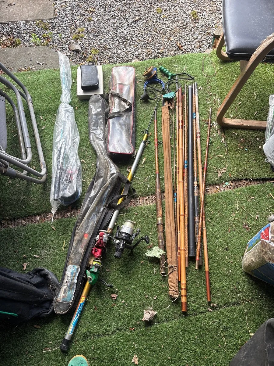 Fishing rods - Image 1