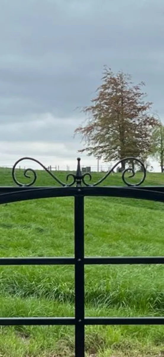 Traditional farm style Gate and 2 posts. - Image 2