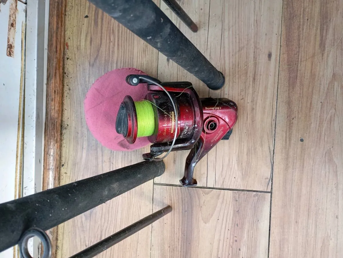 Fishing Rods x 2 shakespeare catcher and  reel - Image 3