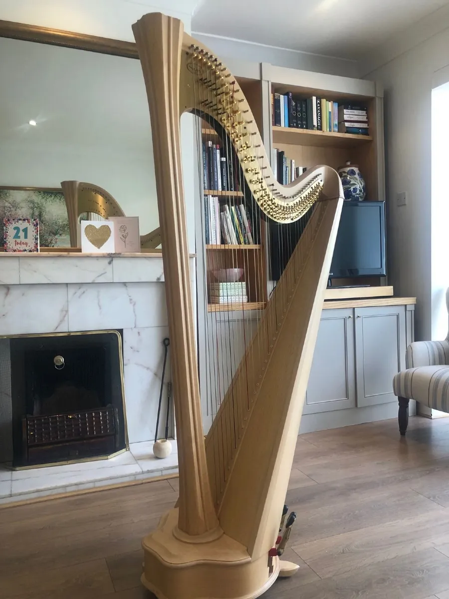 Salvi Daphne 40 Pedal Harp in Perfect Condition - Image 1