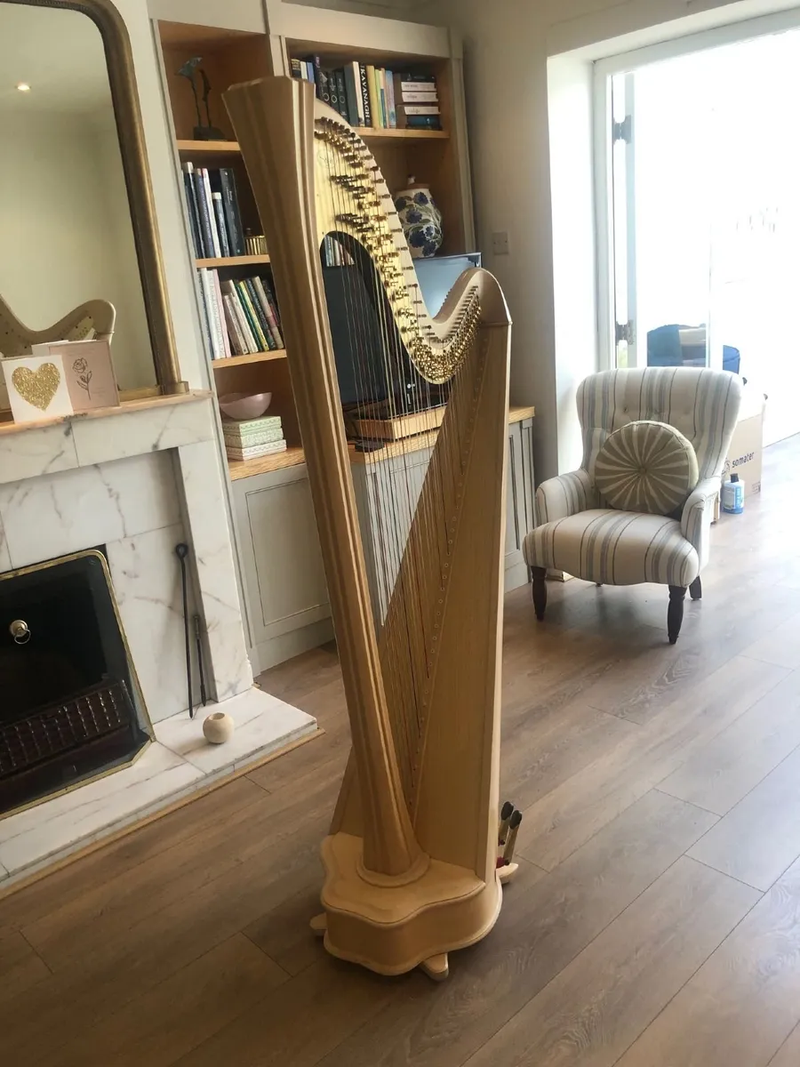 Salvi Daphne 40 Pedal Harp in Perfect Condition - Image 2