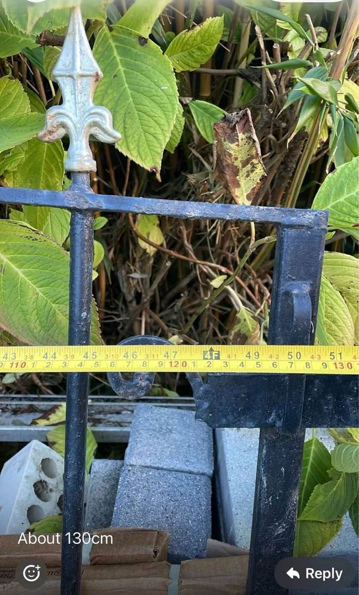 A pair of Wroth Iron Garden Gates - Image 2