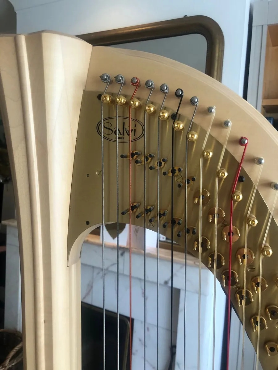 Salvi Daphne 40 Pedal Harp in Perfect Condition - Image 3