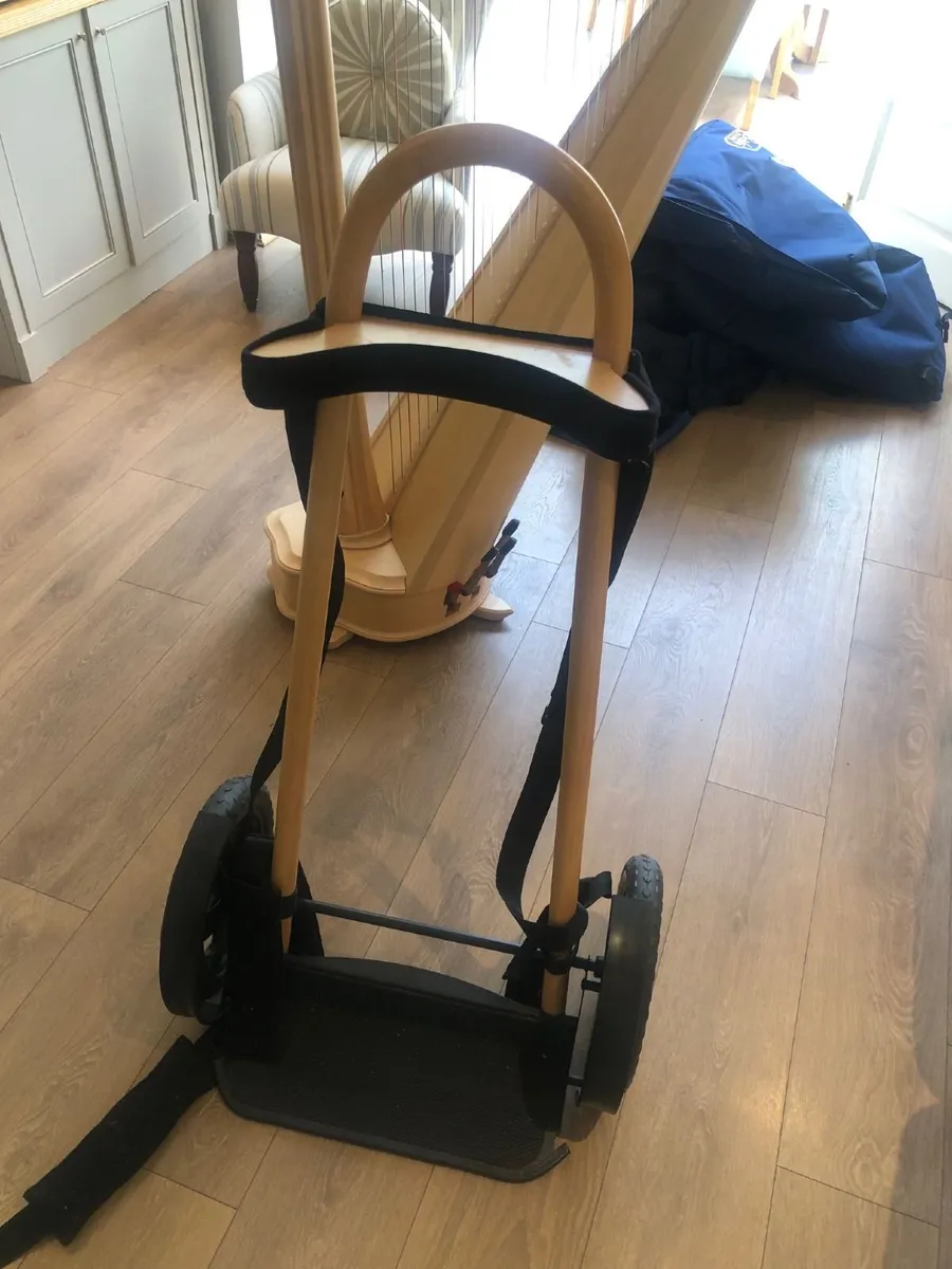 Salvi Daphne 40 Pedal Harp in Beautiful Condition - Image 4