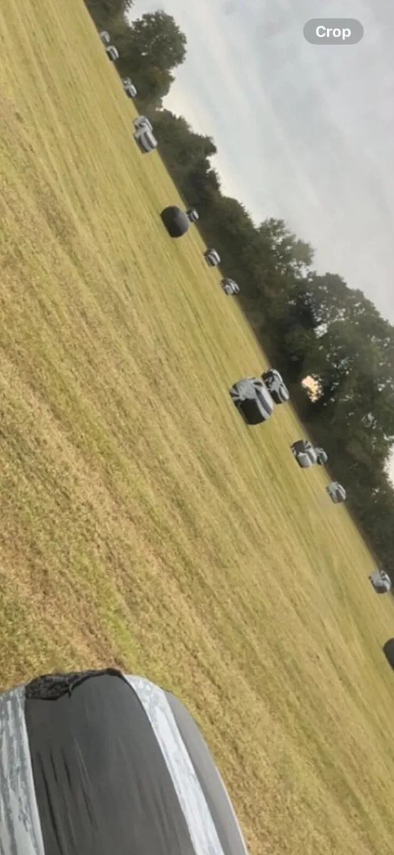 Silage for sale