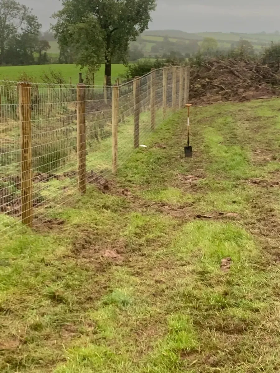Agricultural fencing - Image 2