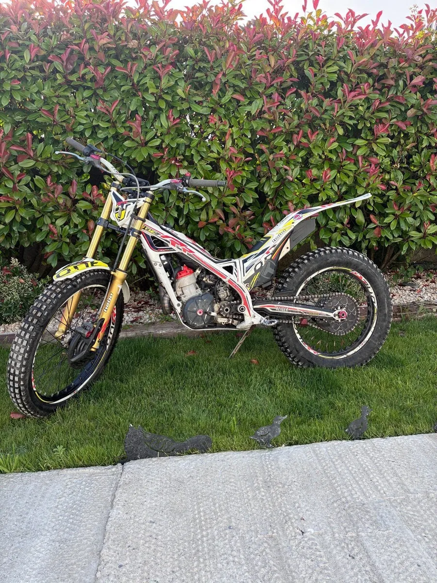 TRS ONE RR 250 2 Stroke - Image 1