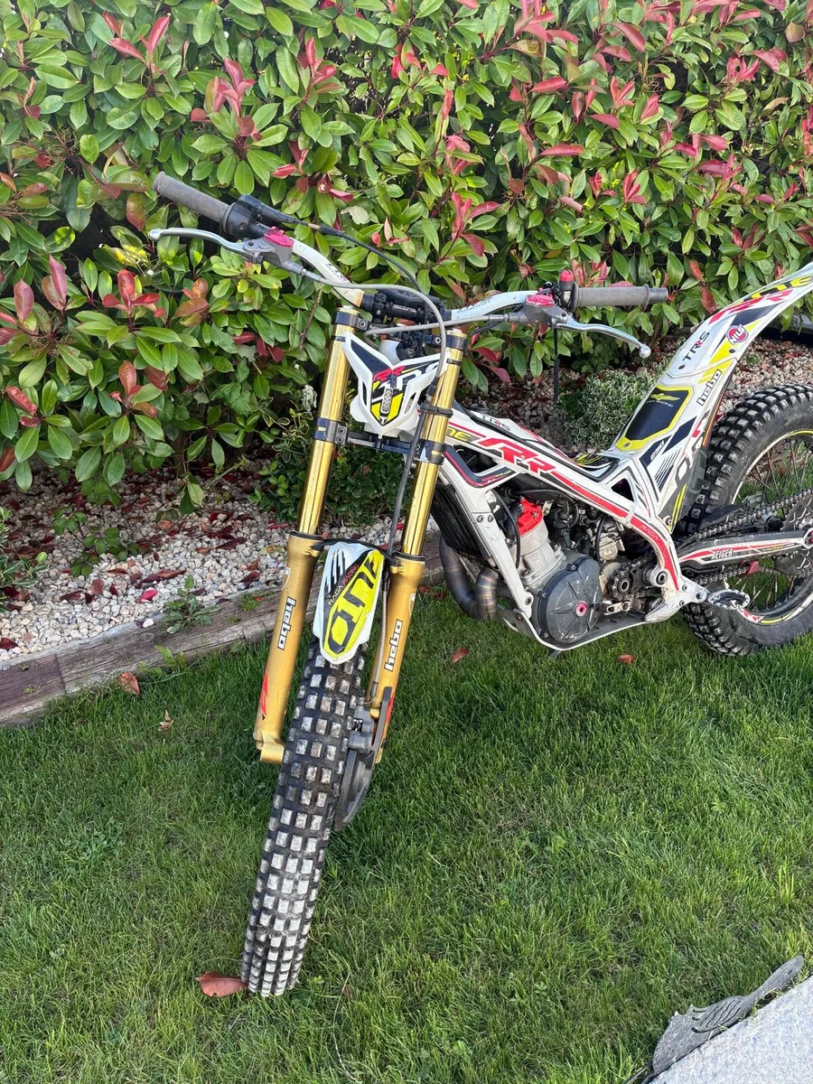 TRS ONE RR 250 2 Stroke - Image 2