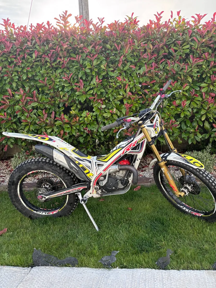 TRS ONE RR 250 2 Stroke - Image 4