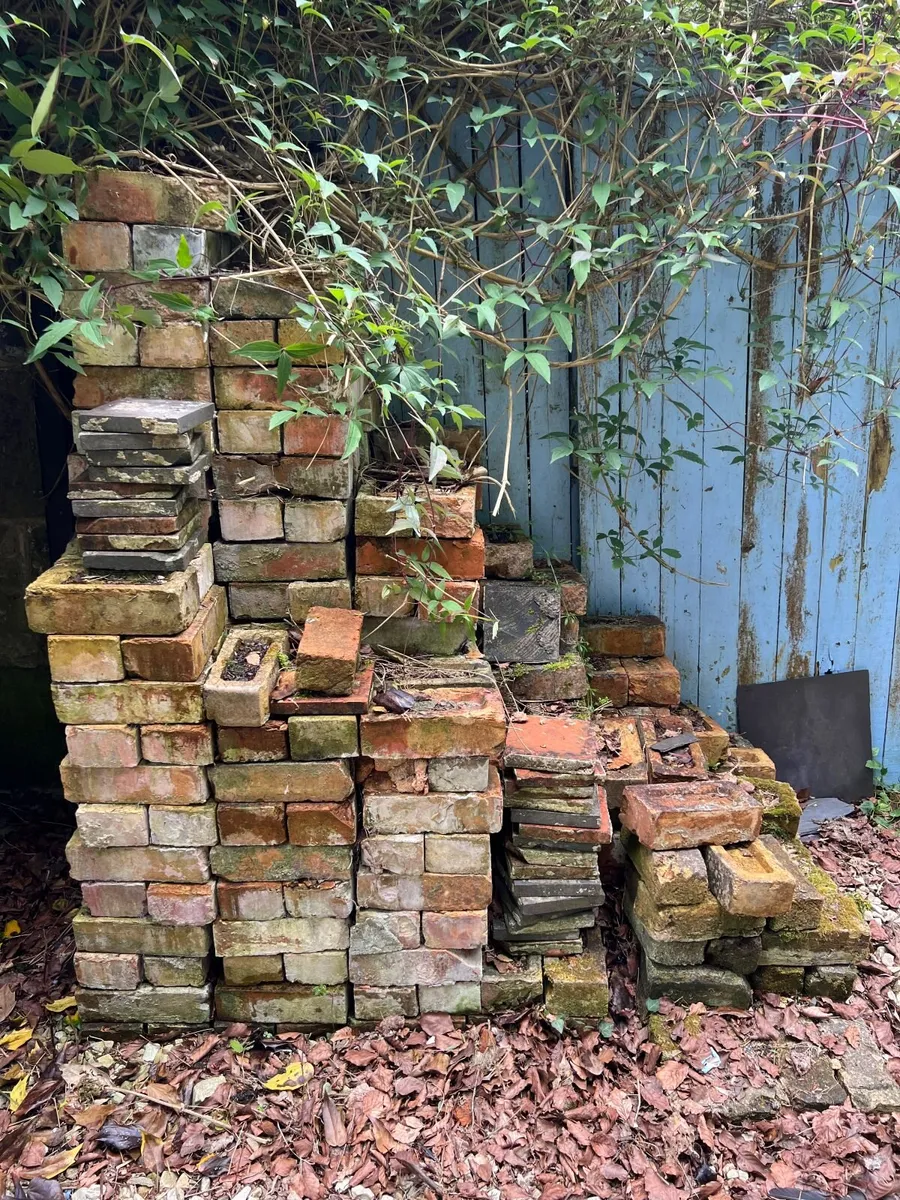bricks - Image 1