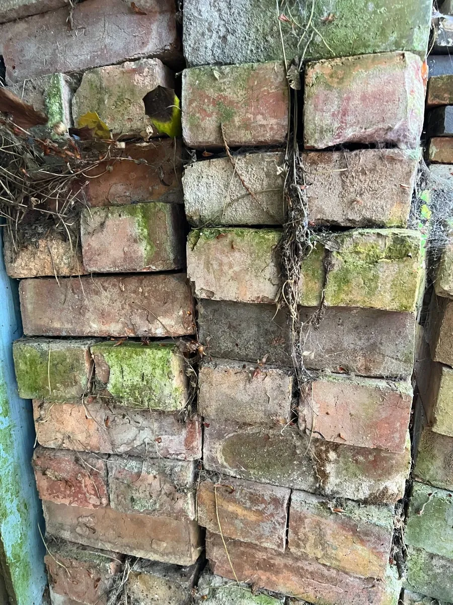 bricks - Image 2