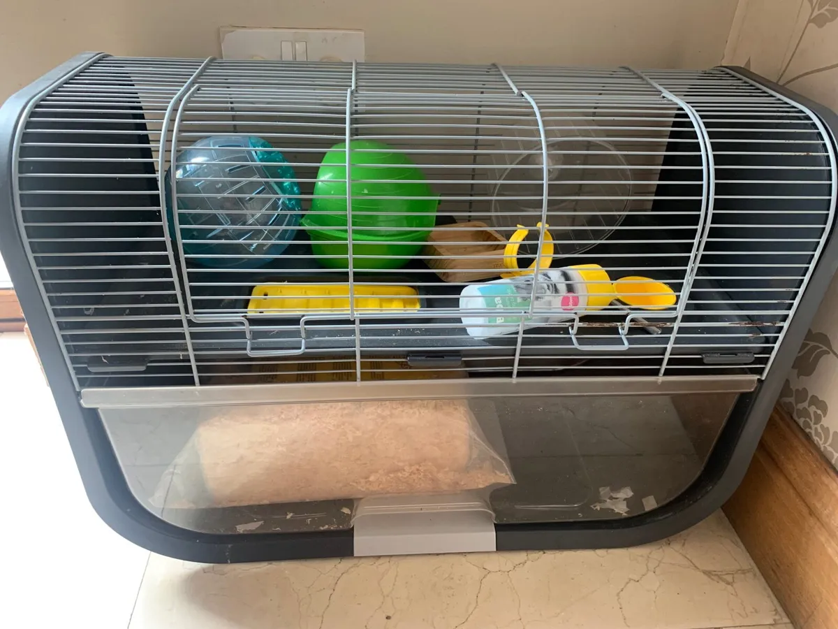Hamster Cage