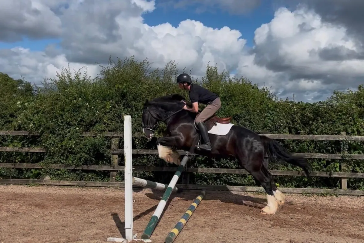LOT 486 GORESBRIDGE 9th JULY - Image 1