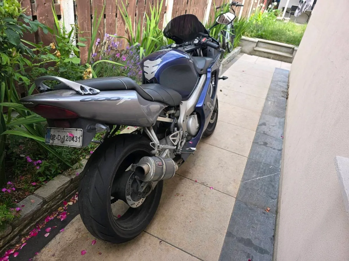 Honda Cbr 600 f4i - Image 2