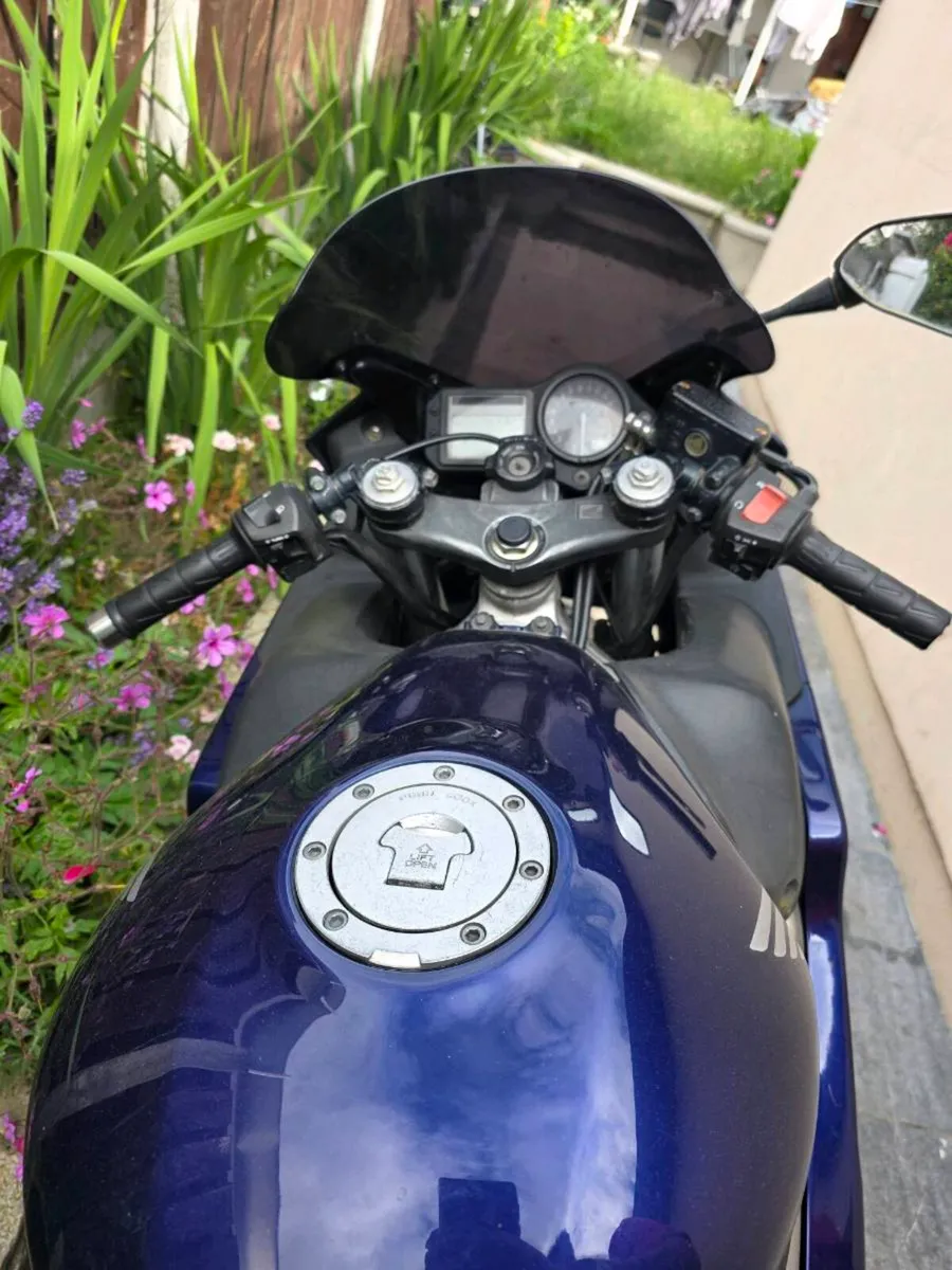 Honda Cbr 600 f4i - Image 3
