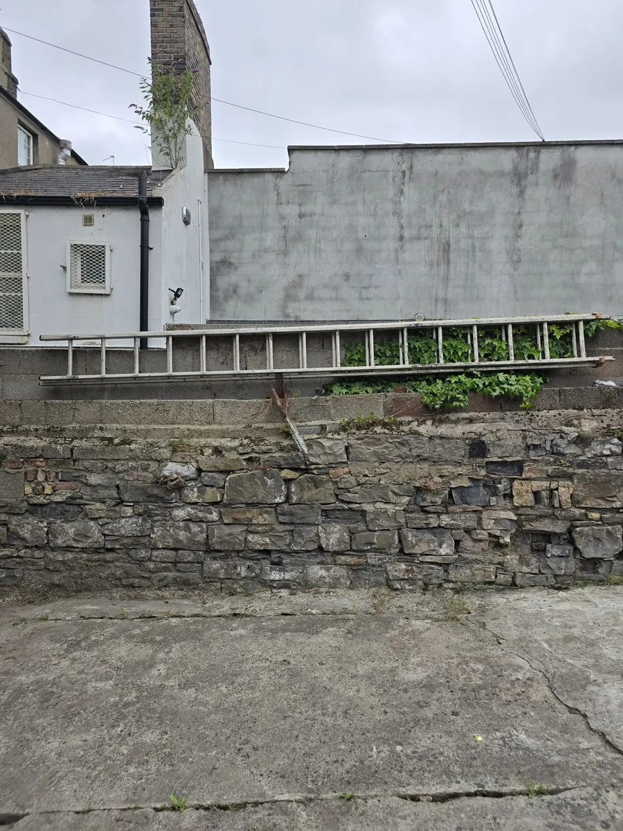 30 ft  aluminium ladder for sale.  €150. - Image 3