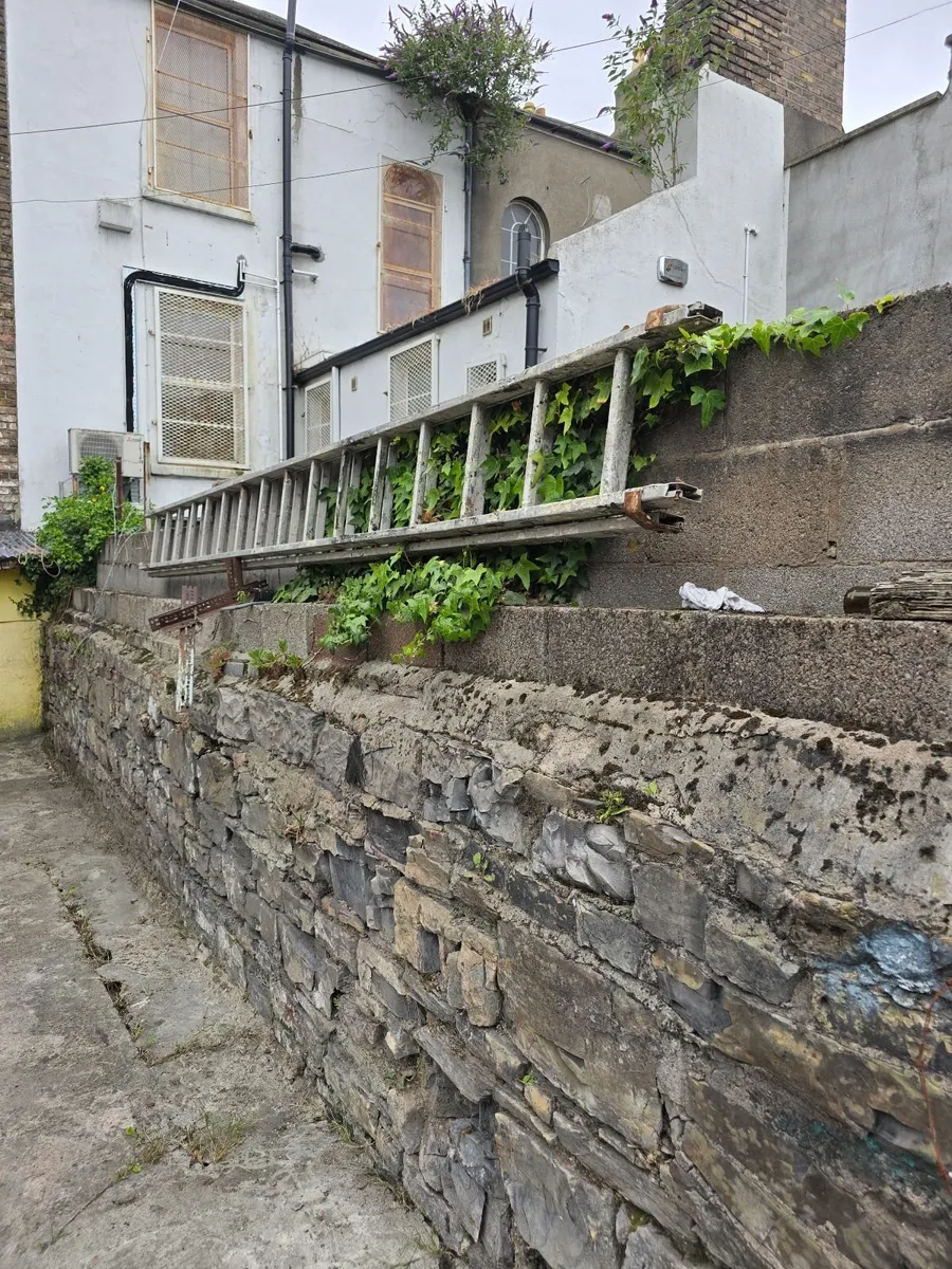 30 ft  aluminium ladder for sale.  €150. - Image 4