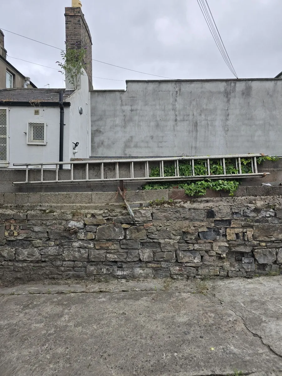 30 ft  aluminium ladder for sale.  €150. - Image 1