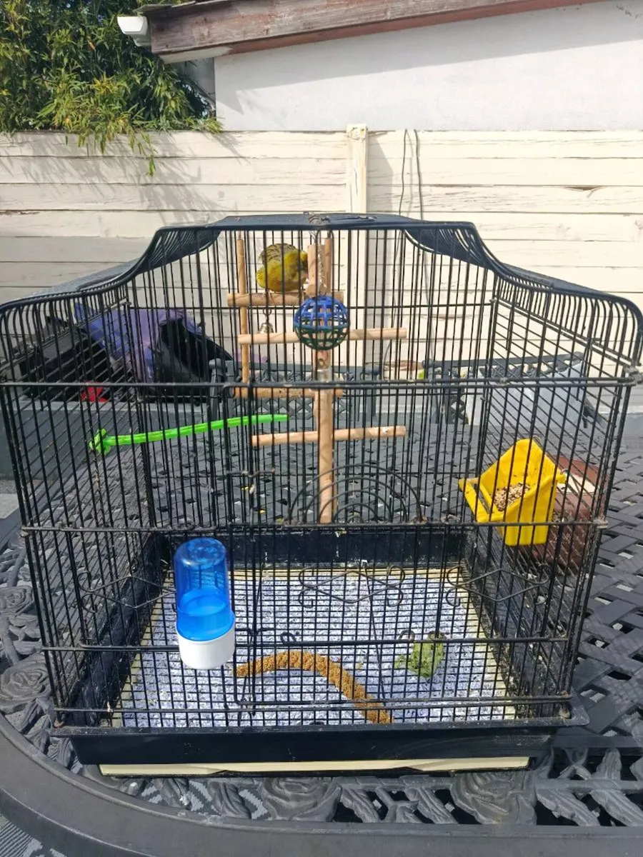 Cage - Image 2