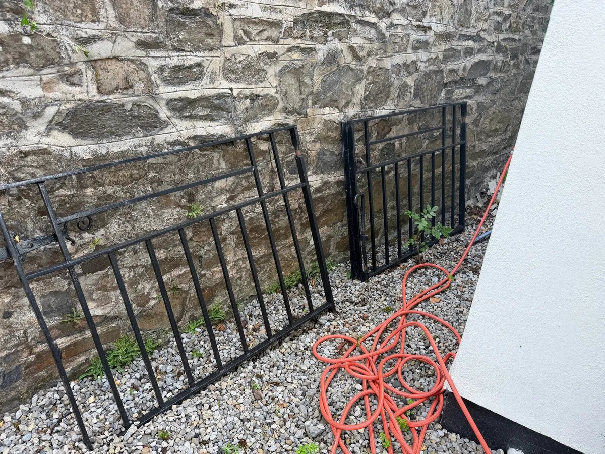 Wrought iron entrance gates made by Kennan & Sons - Image 1