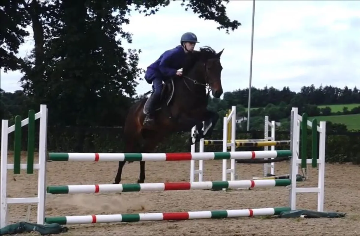 🌟 Super 148 SJI pony 🌟 - Image 1
