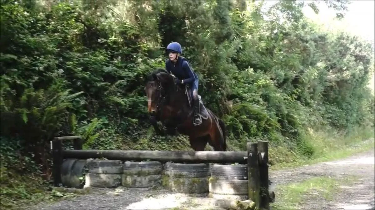 🌟 Super 148 SJI pony 🌟 - Image 3