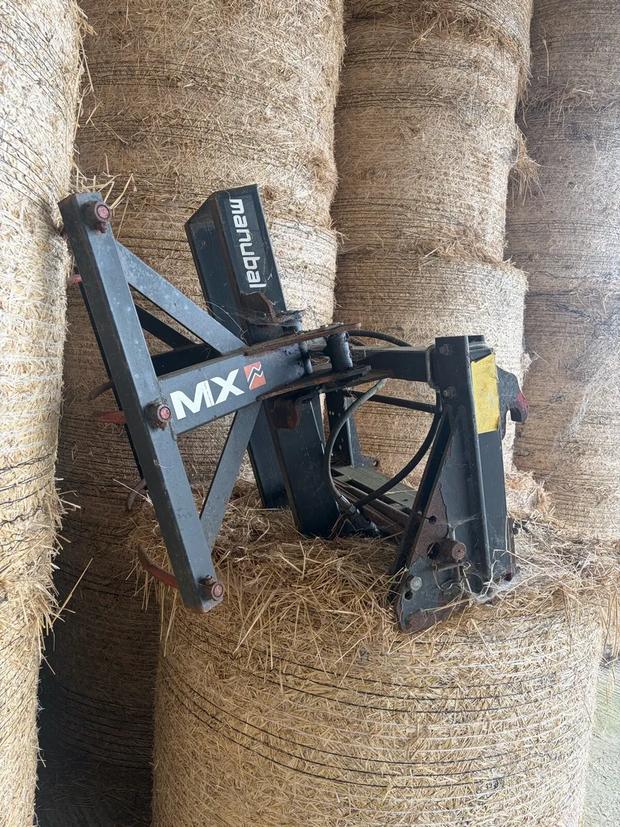 Bale grab - Image 3